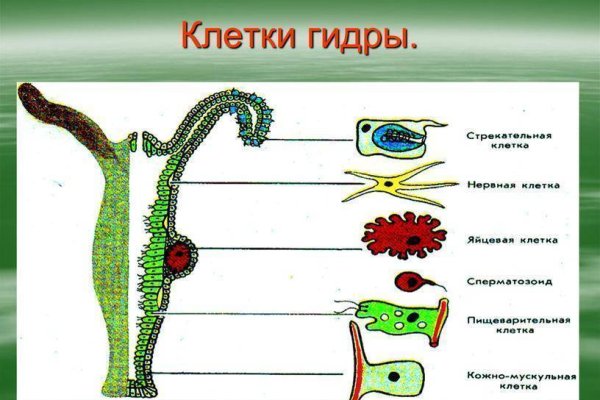 Kraken официальные зеркала