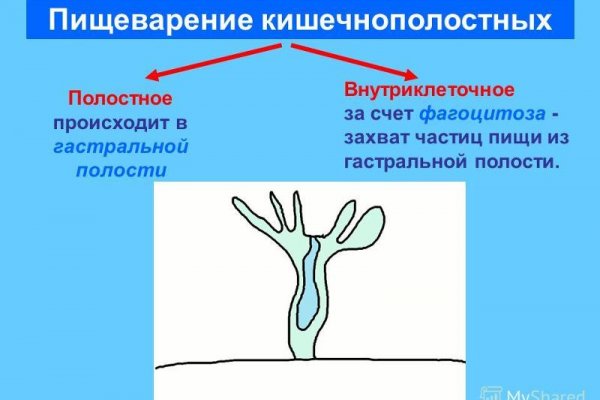 Кракен сайт зеркало рабочее