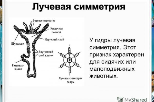 Скрытый интернет как войти