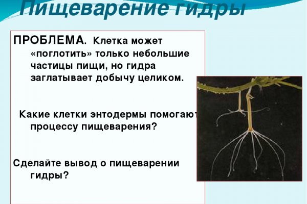 Настоящий сайт kraken