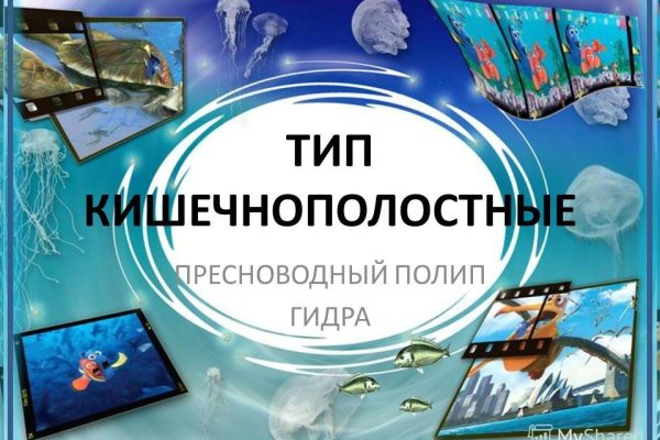 Кракен актуальные