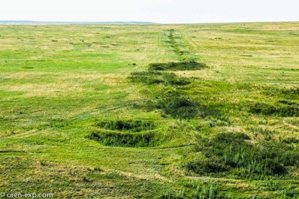 Как зайти на кракен через тор браузер