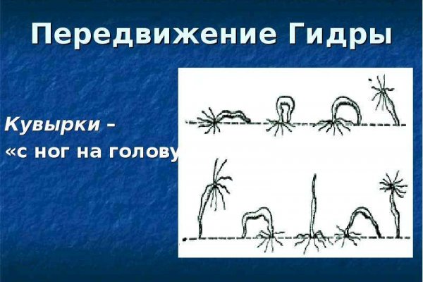 Кракен маркетплейс что там