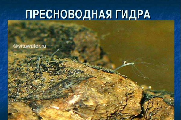 Восстановить доступ к кракену